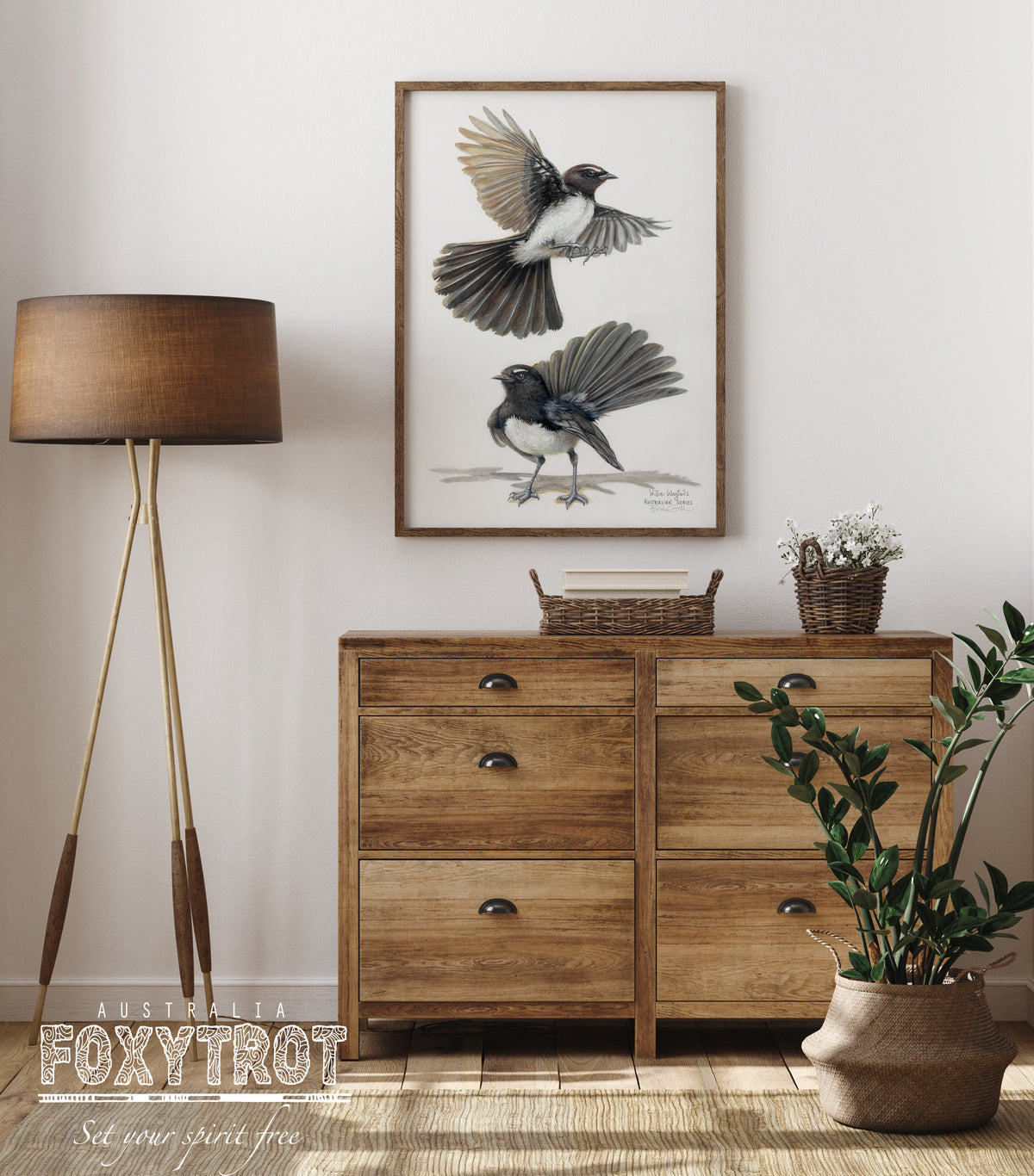 Willie Wagtails