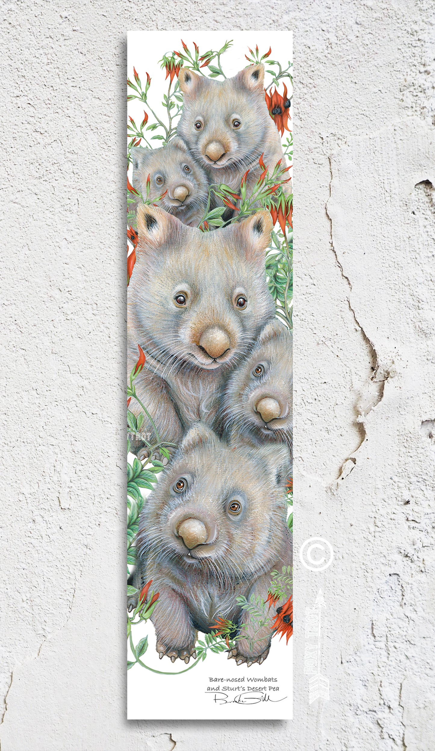 Wombats Bookmark