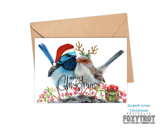 Superb Fairy Wren Christmas Card