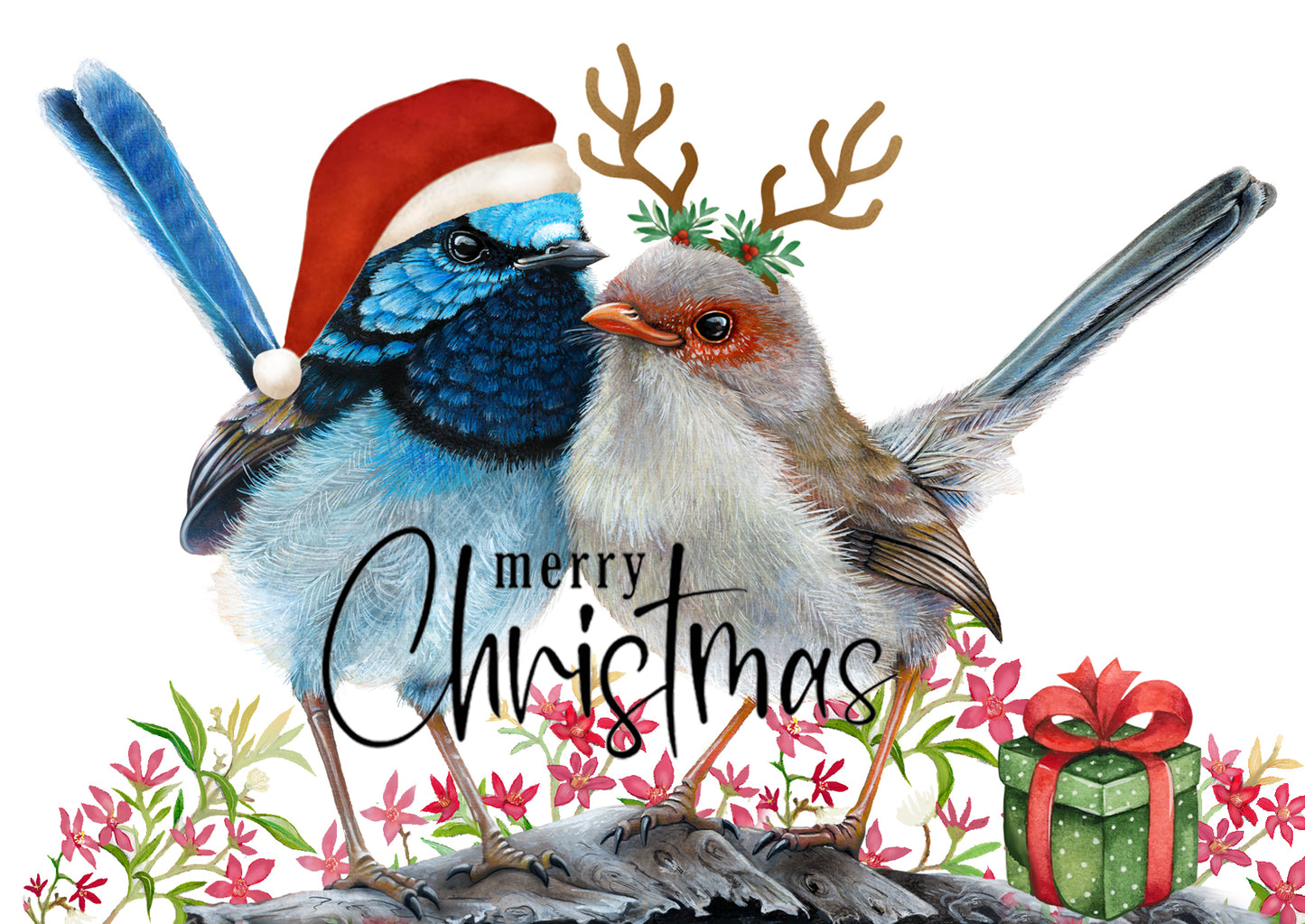 Superb Fairy Wren Christmas Card