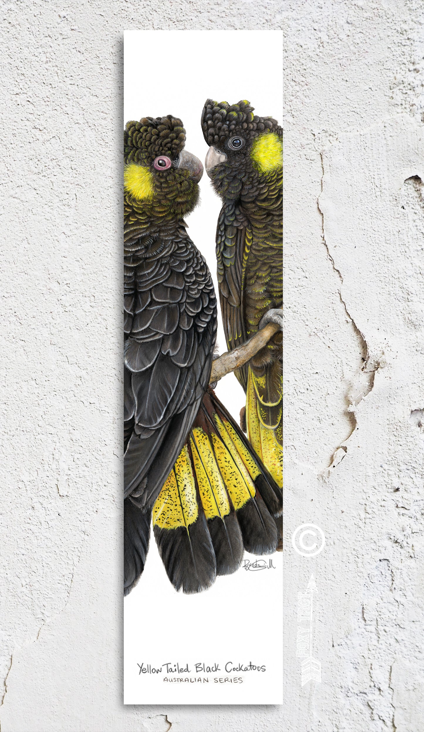 Yellow Tailed Black Cockatoo Bookmark