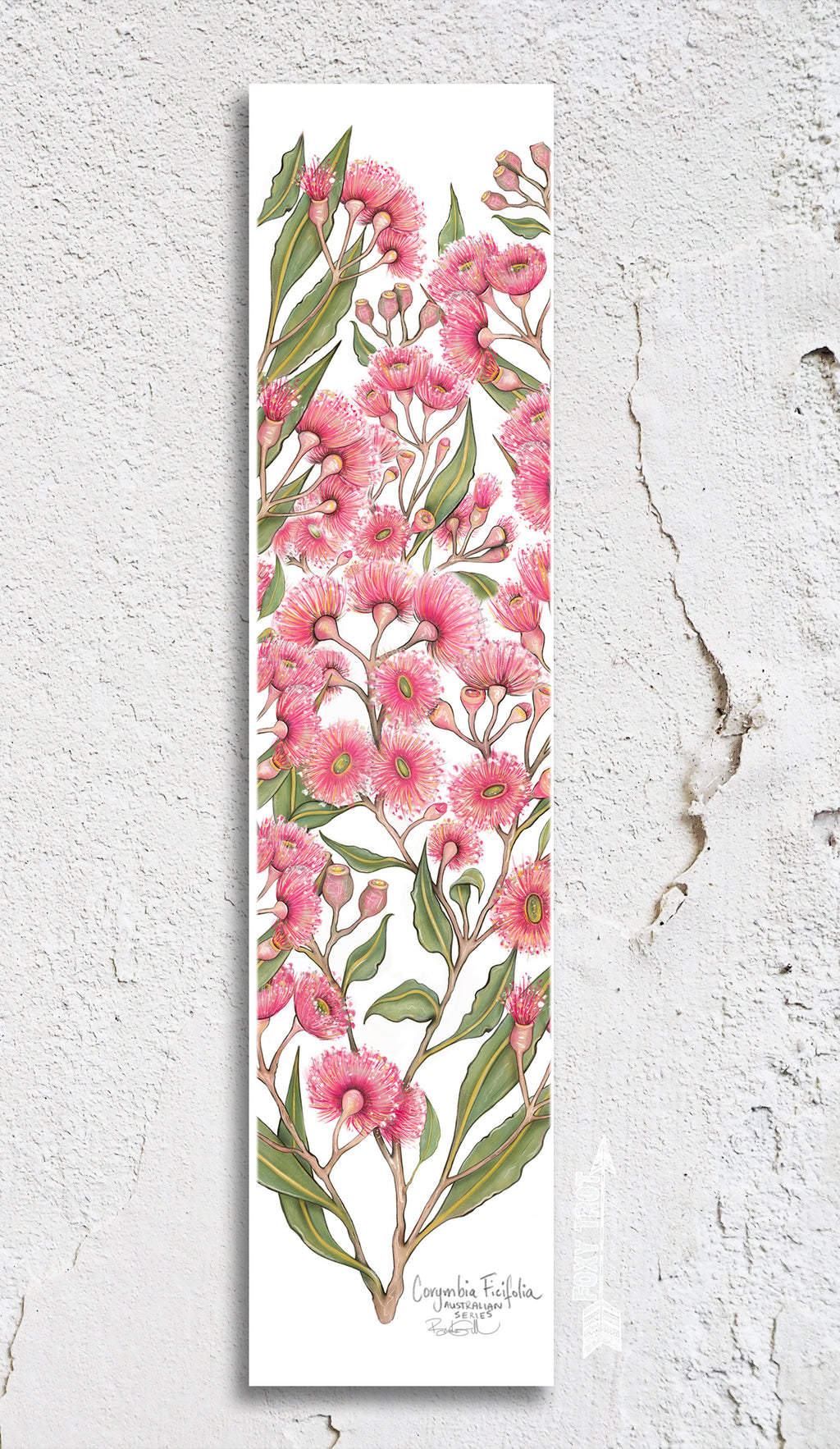 Pink Flowering Gum Bookmark