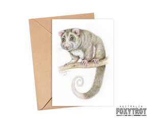 Ringtail Possum Card