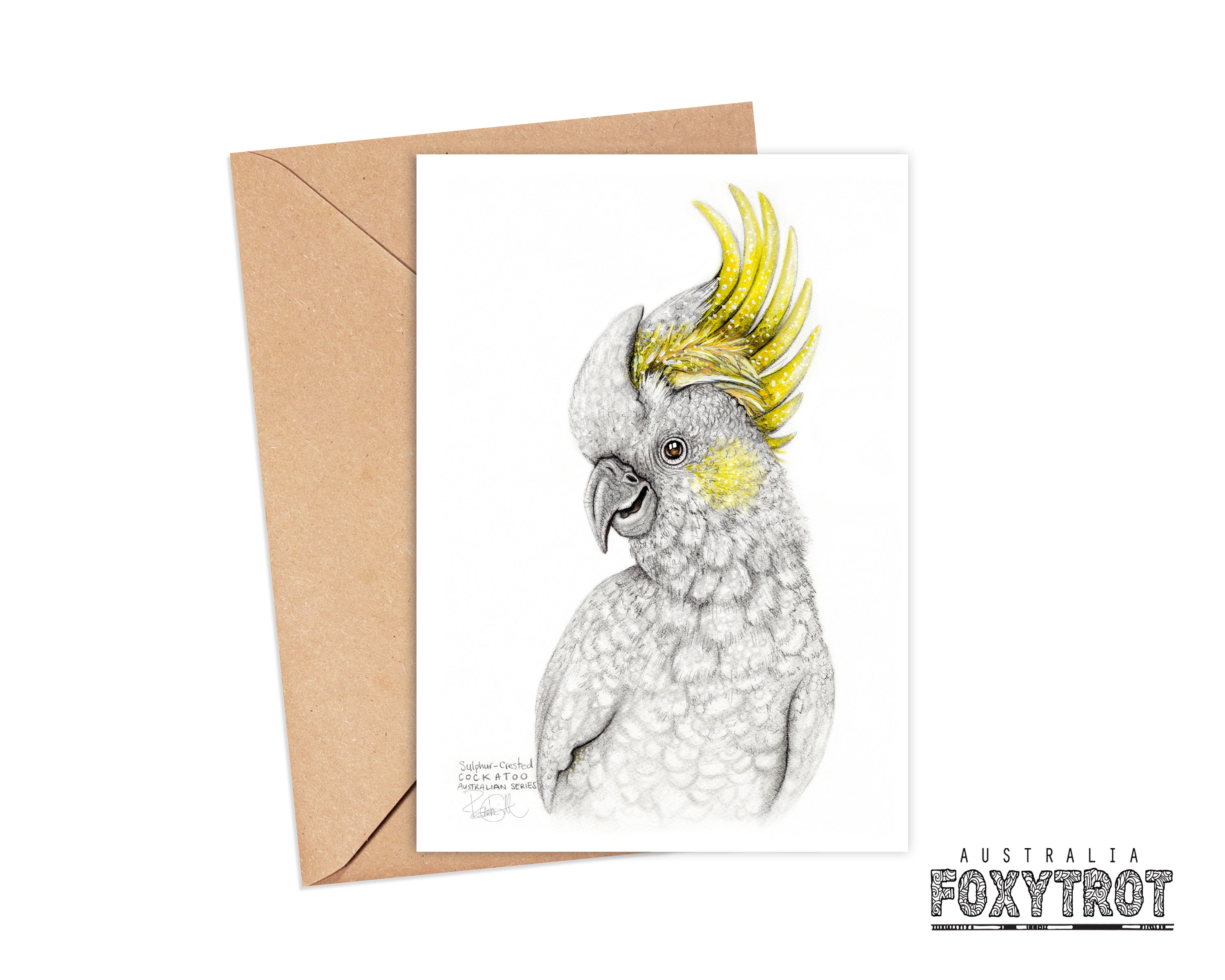 Sulphur Crested Cockatoo Card