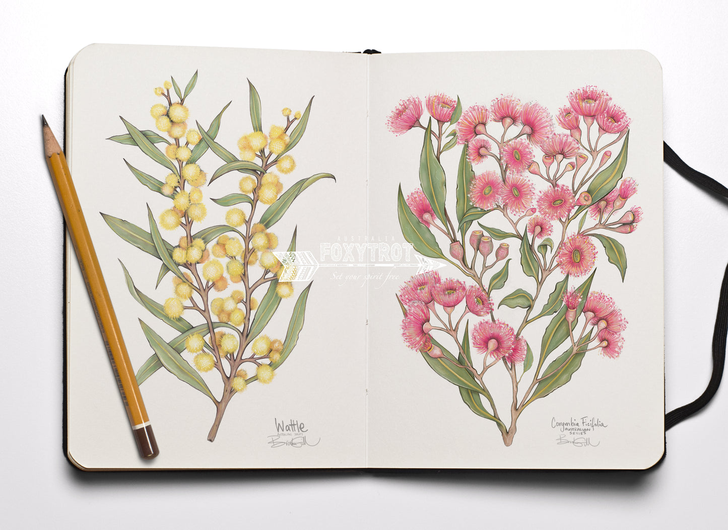 Wattle