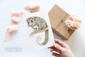 Ringtail Possum Card