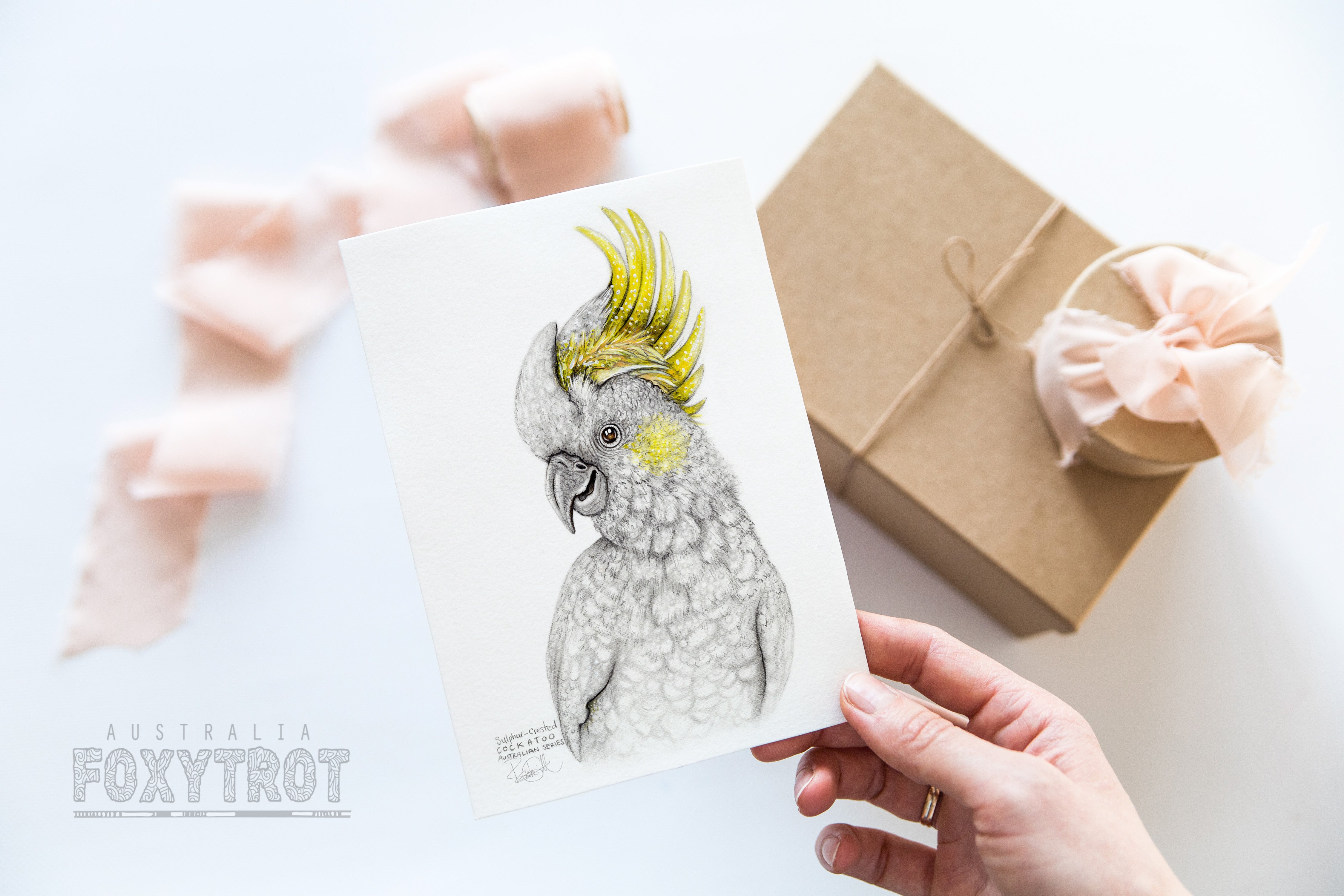 Sulphur Crested Cockatoo Card