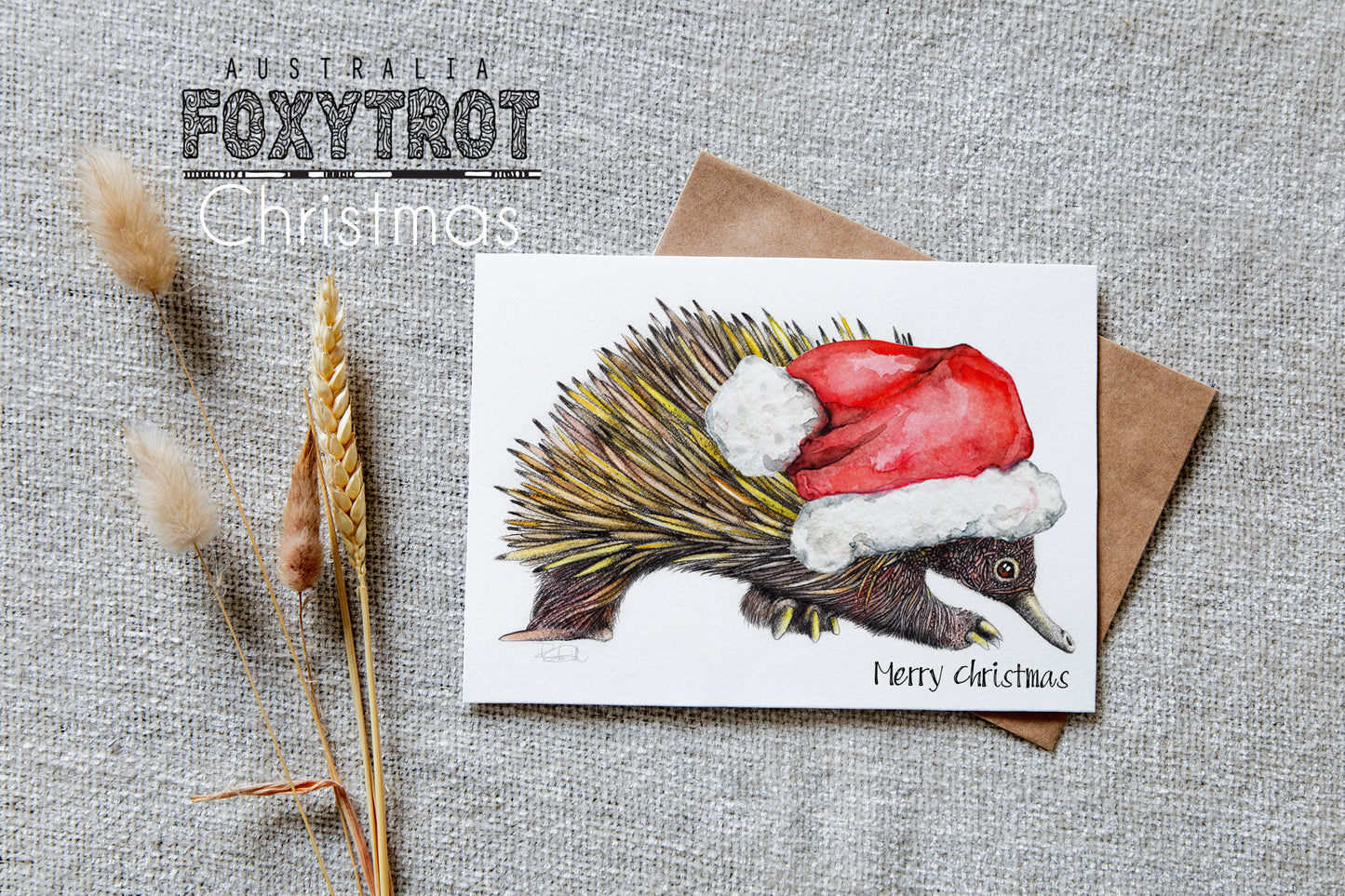 Echidna Christmas Card