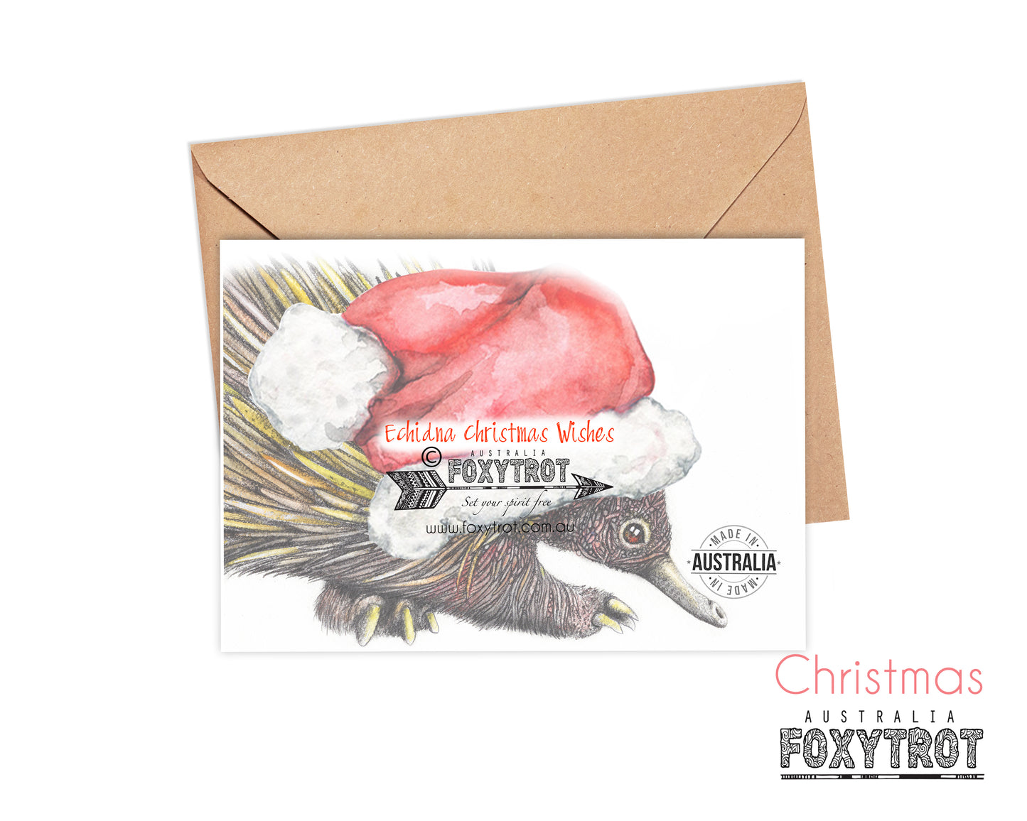 Echidna Christmas Card