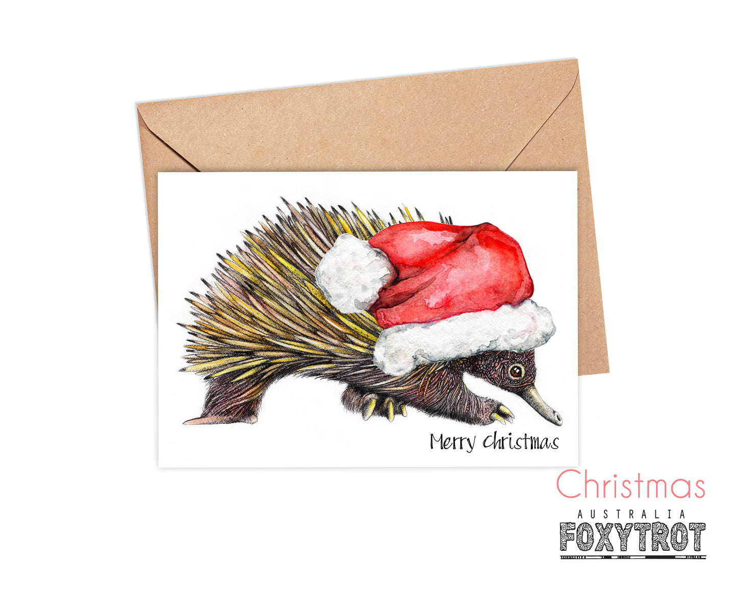 Echidna Christmas Card