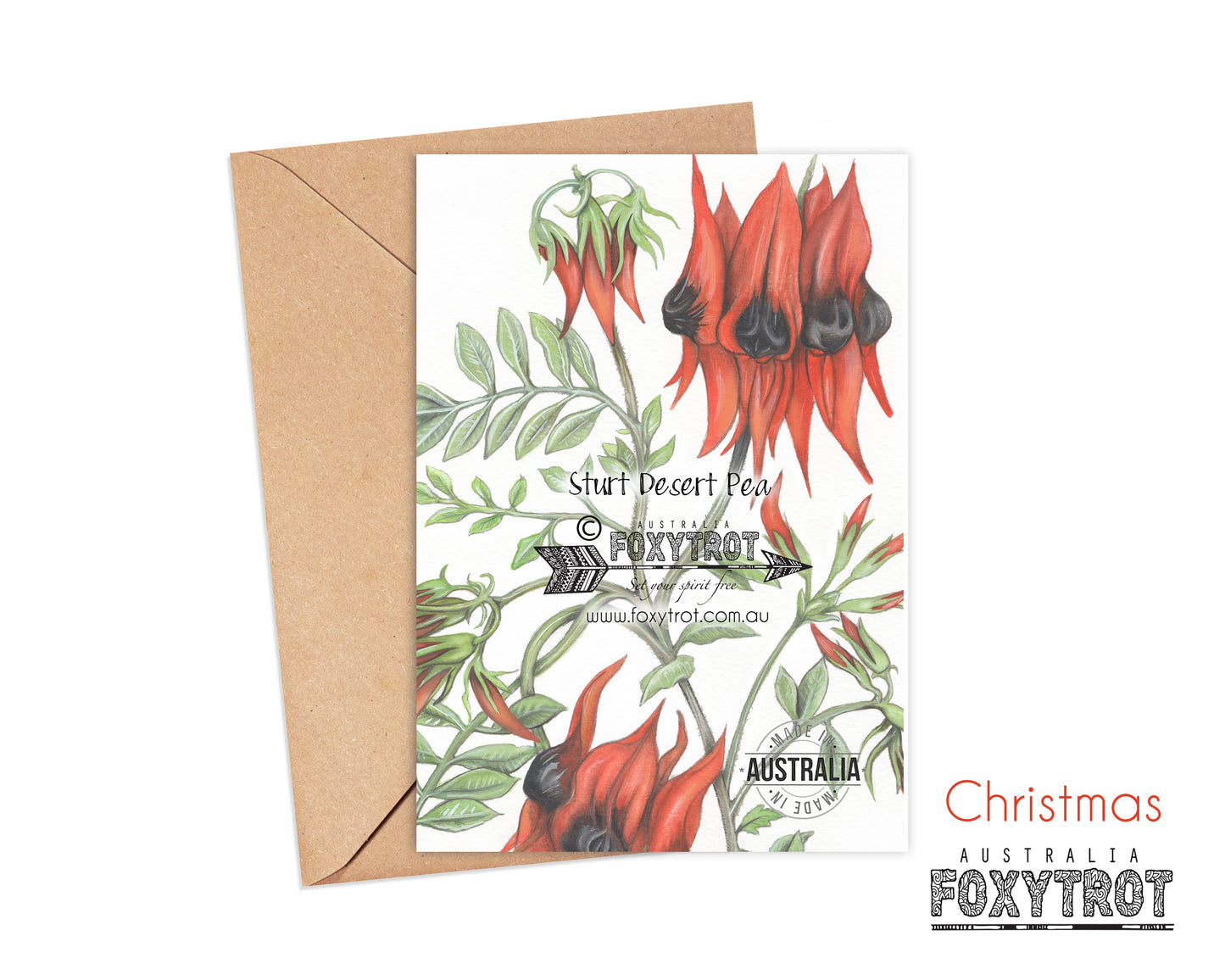 Christmas Sturt Desert Pea Card