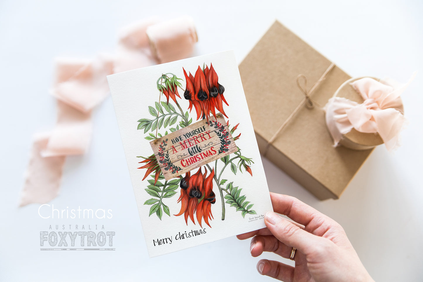 Christmas Sturt Desert Pea Card