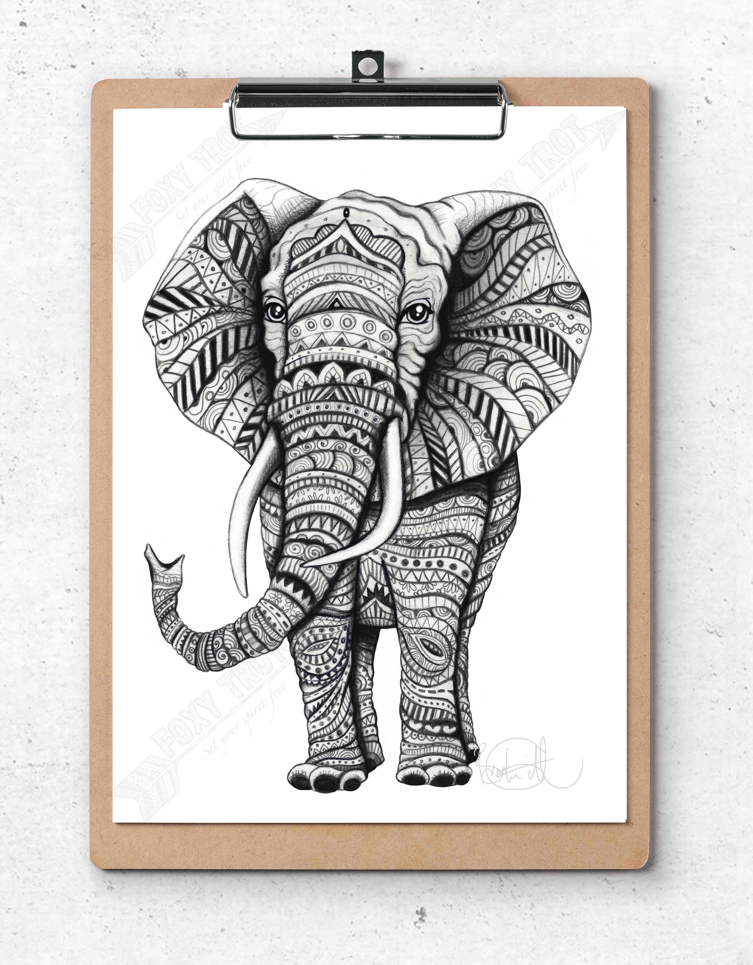 Elephant Monochrome