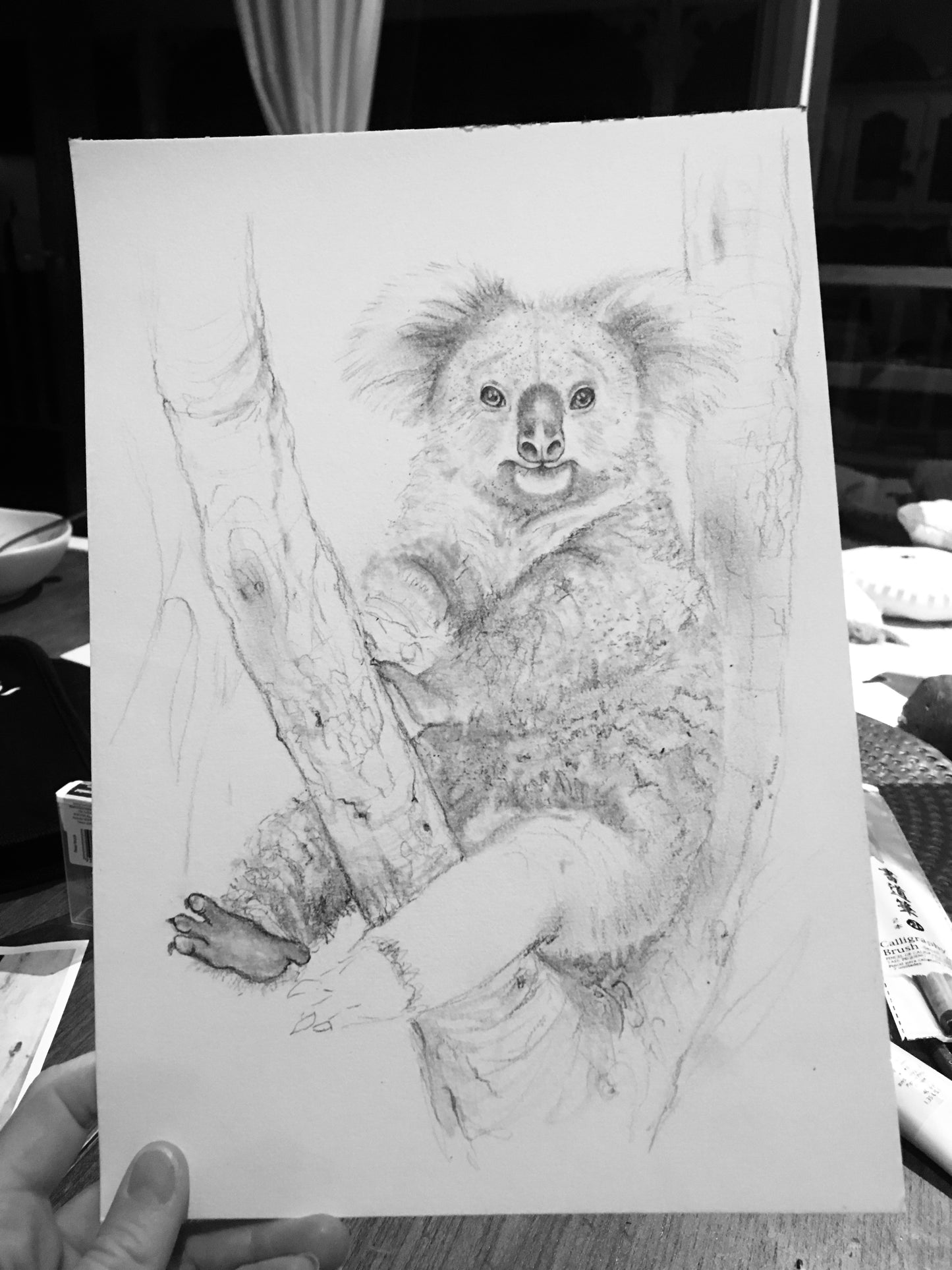 Koala
