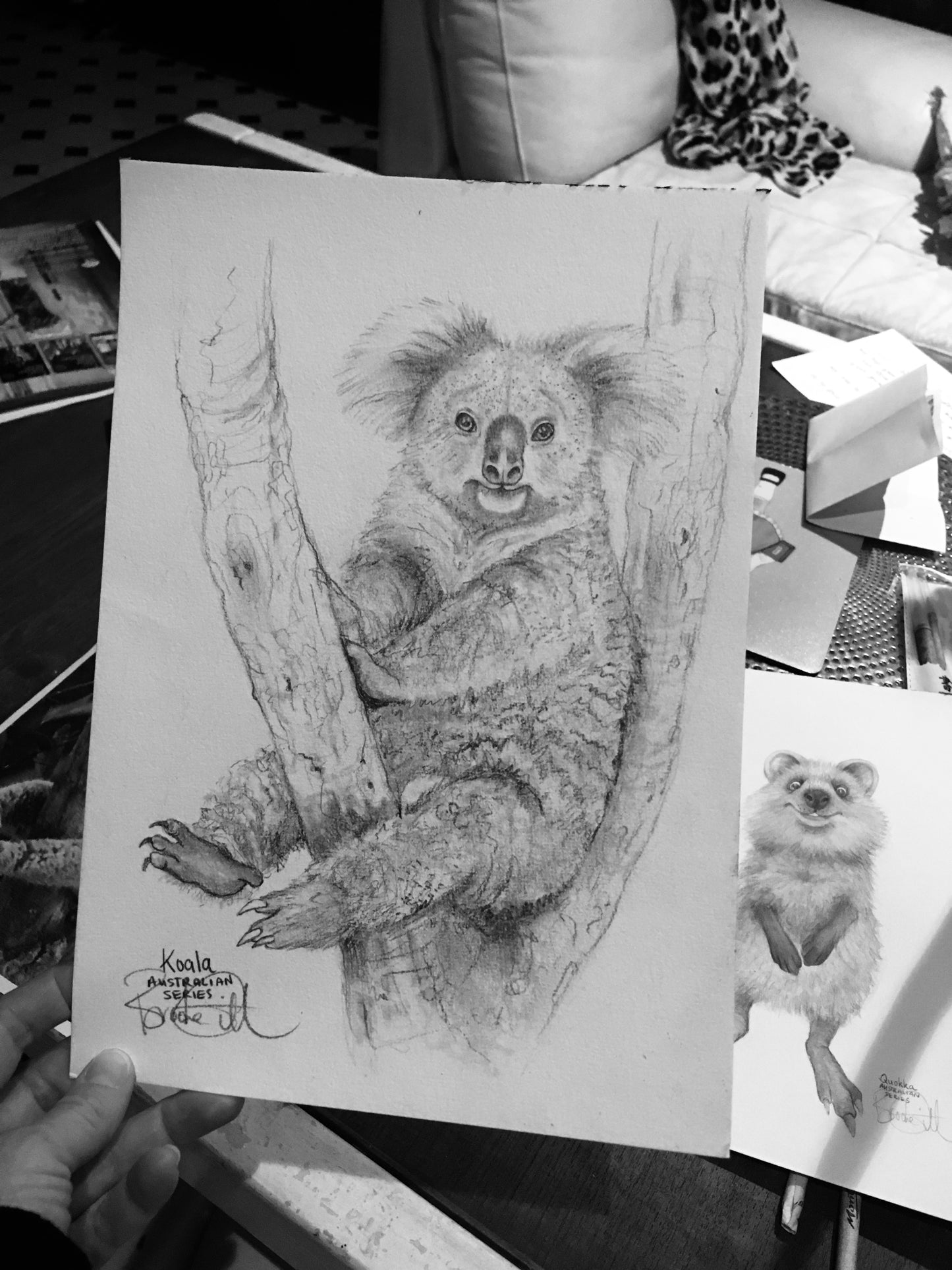 Koala