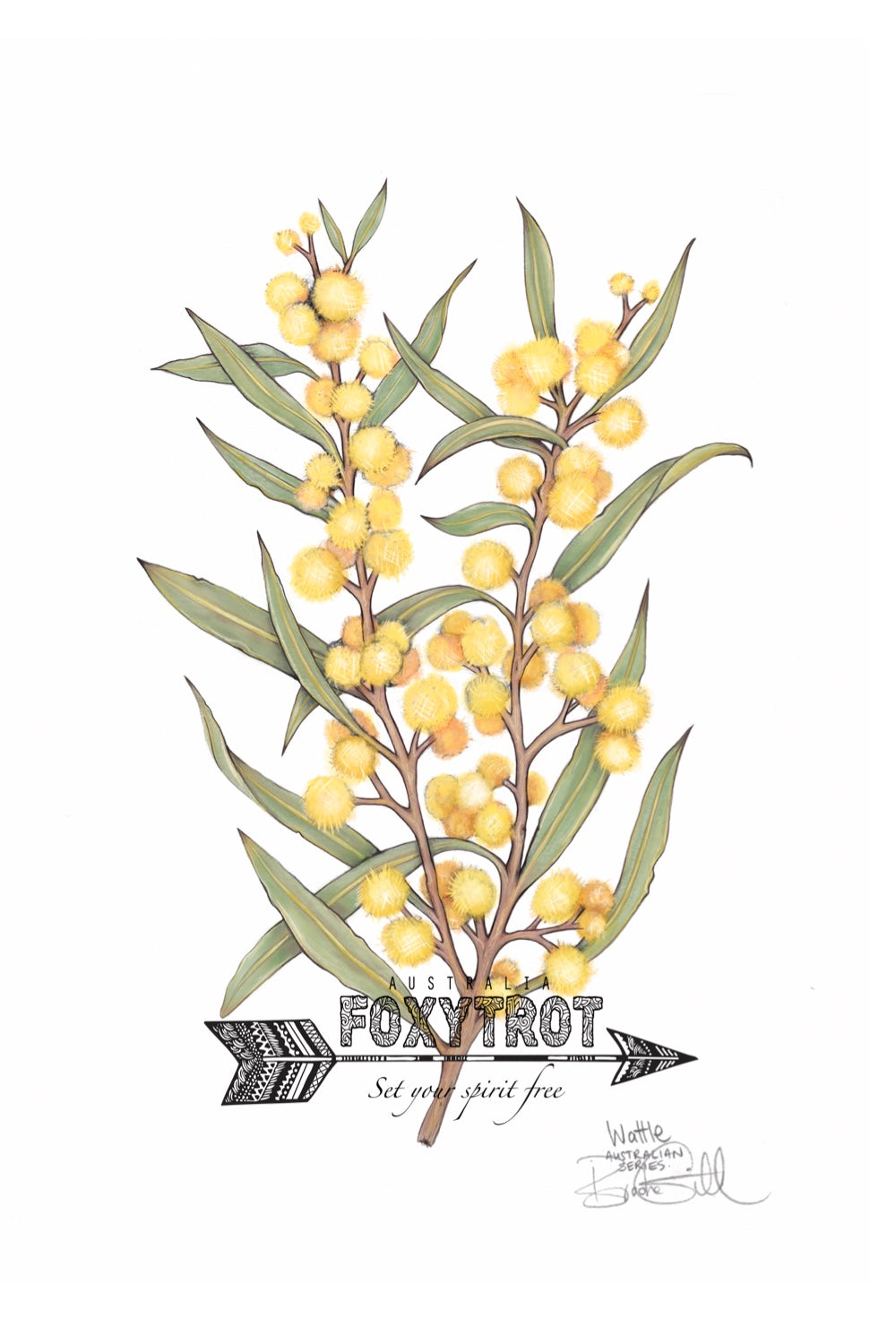 Wattle