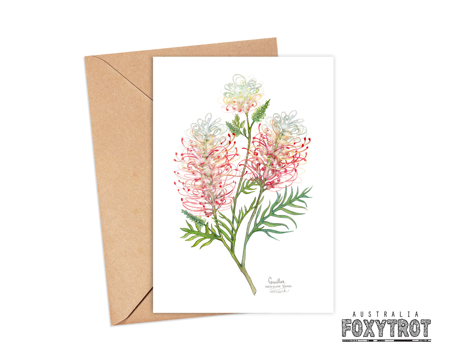 Grevillea Card