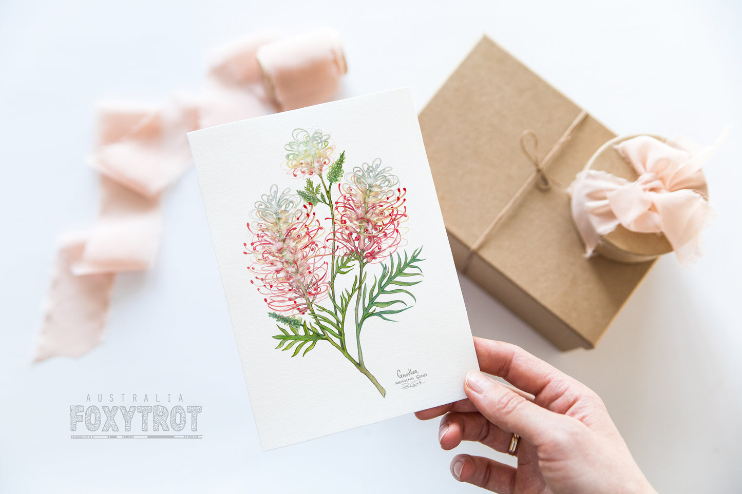 Grevillea Card