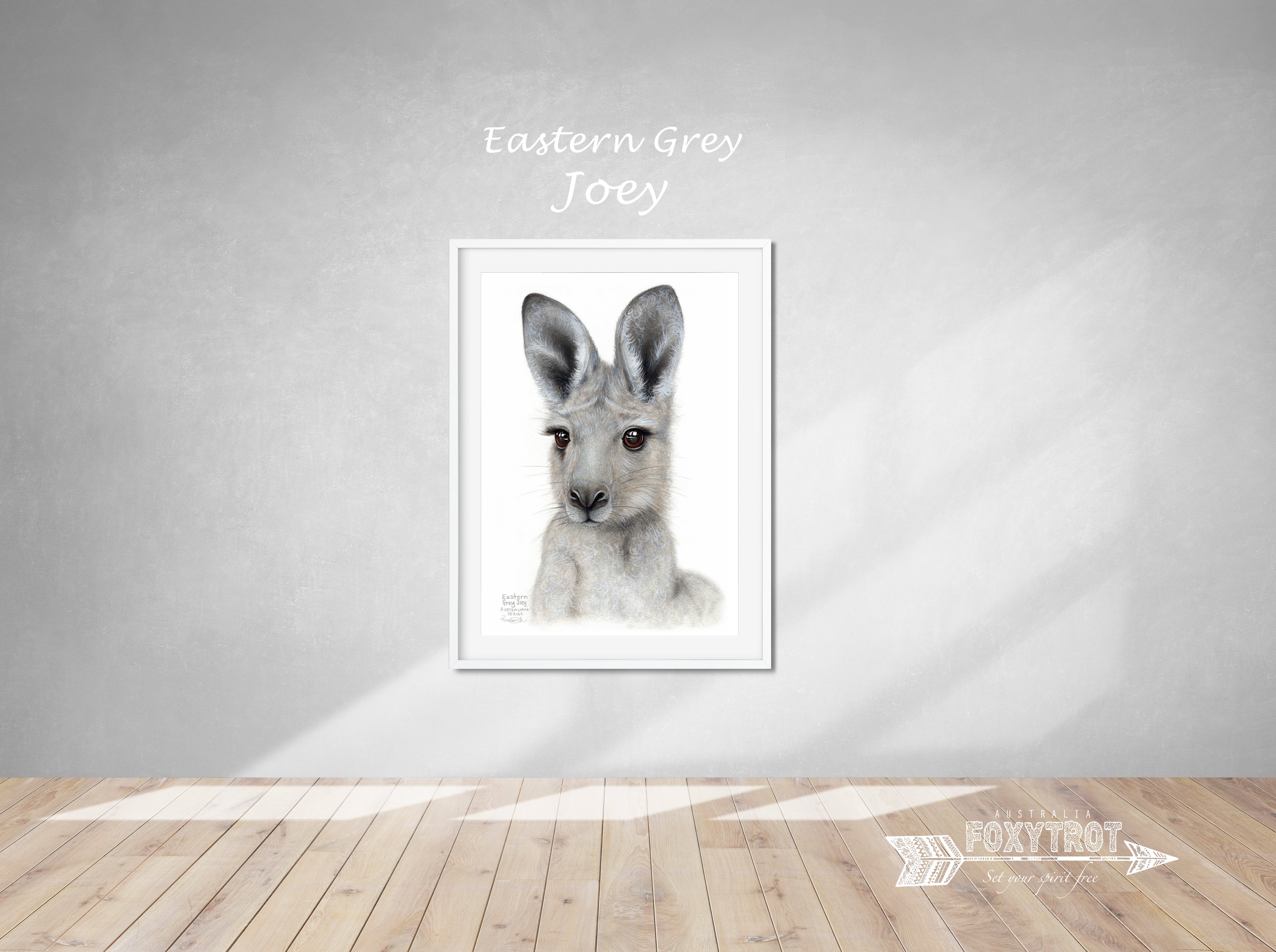 Eastern Grey Joey
