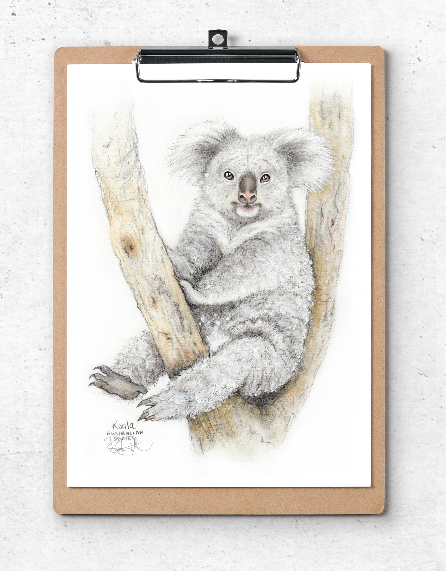 Koala