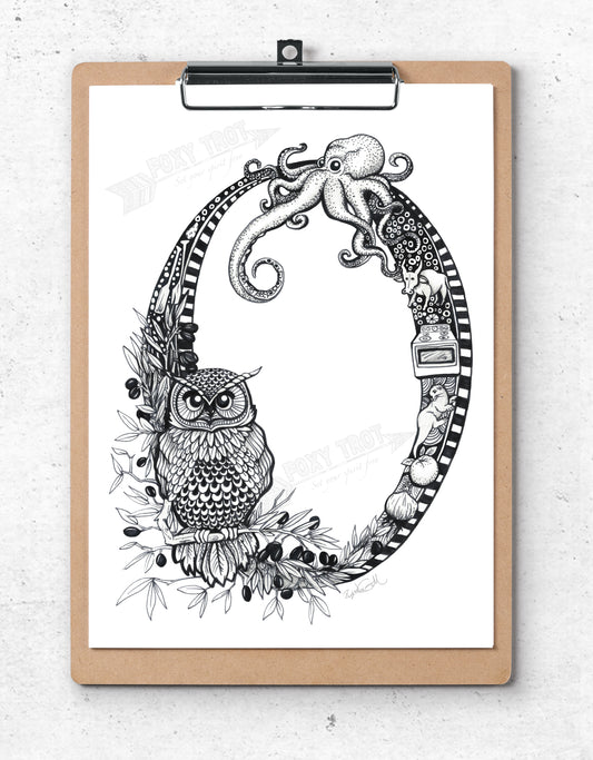 The Letter O