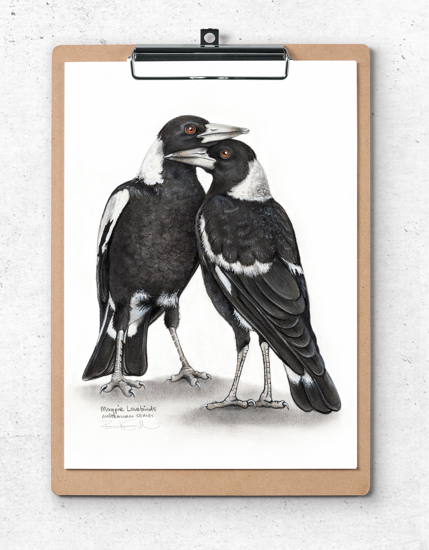 Magpie Lovebirds