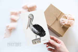 Australian Pelican Card