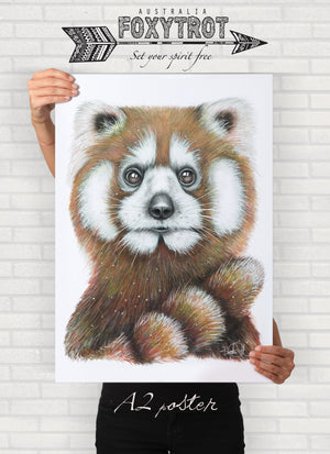 Mr Red the Red Panda