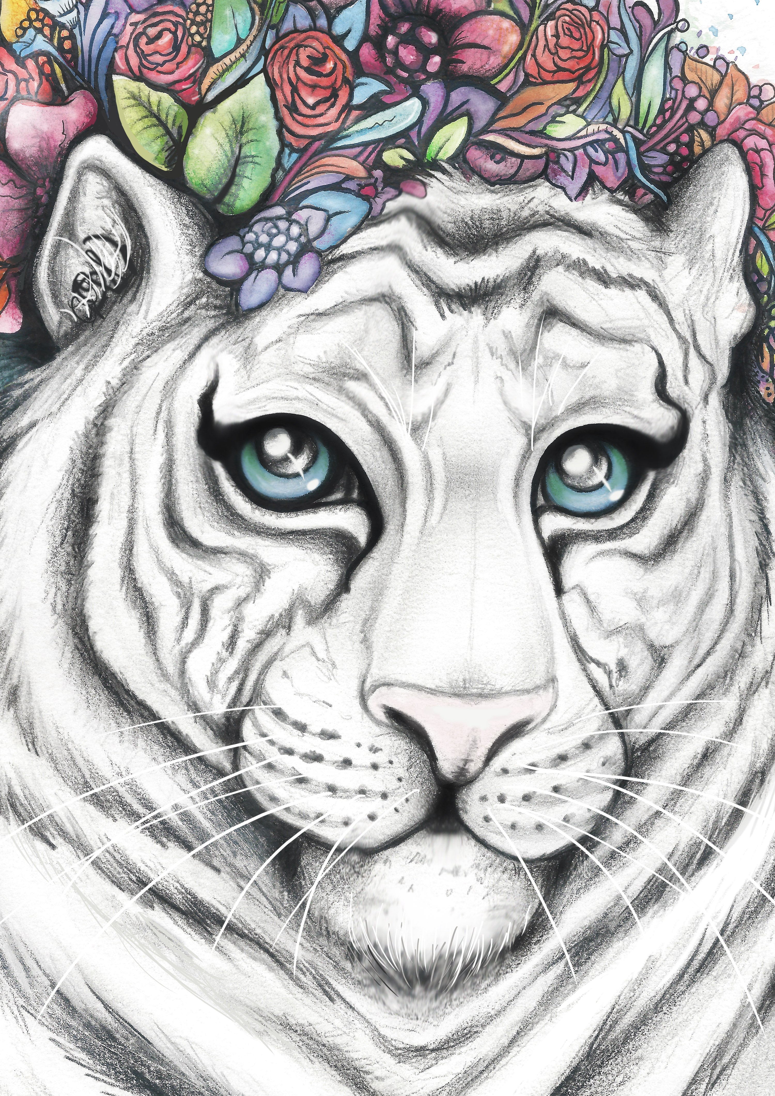 Tigress