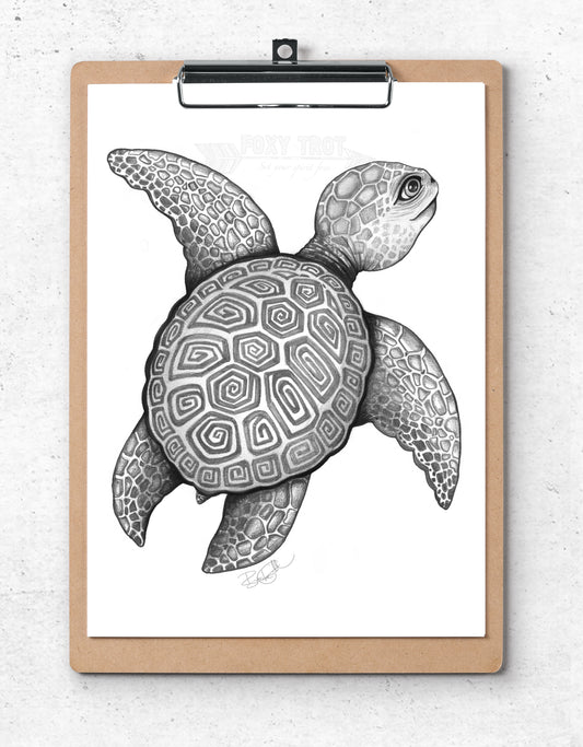 Turtle - Monochrome
