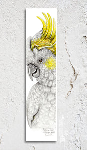 Sulphur Crested White Cockatoo Bookmark